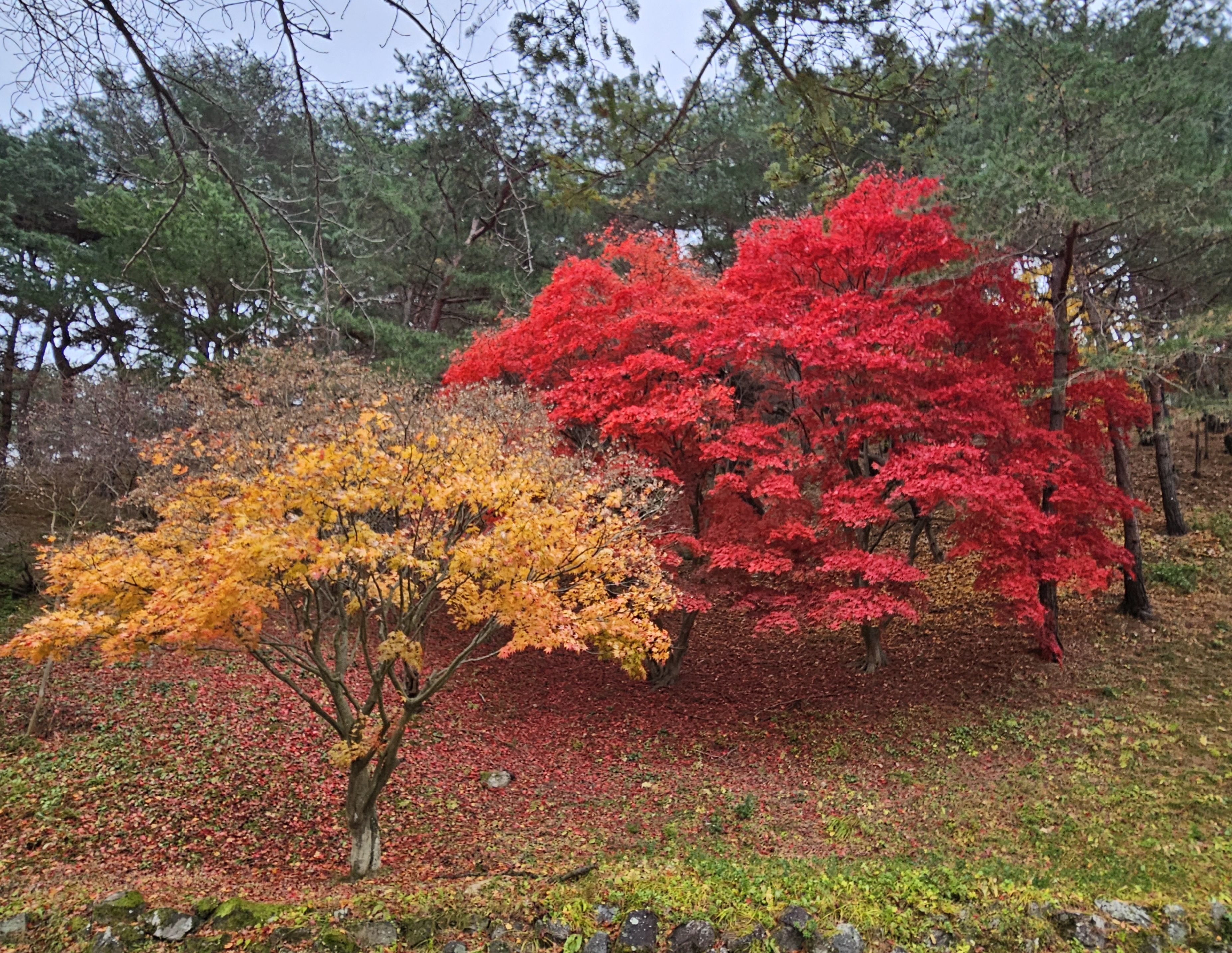 삼각점 이미지
