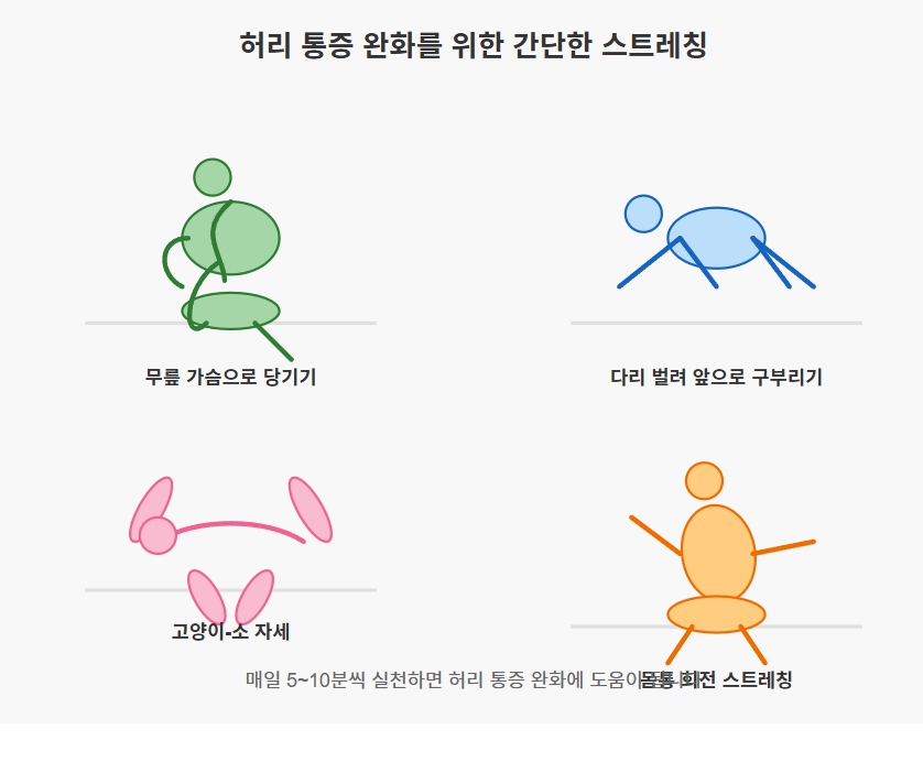 허리-통증-완환-건강을-위한-일상-스트레칭