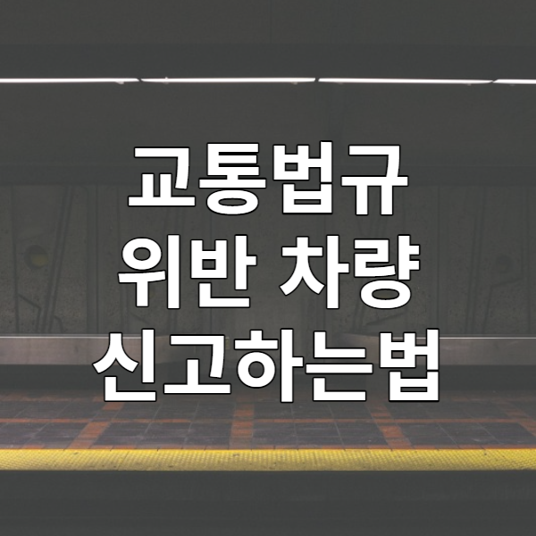  교통법규 위반차량 신고 - 난폭 운전, 보복 운전, 신호 위반 차량 참교육