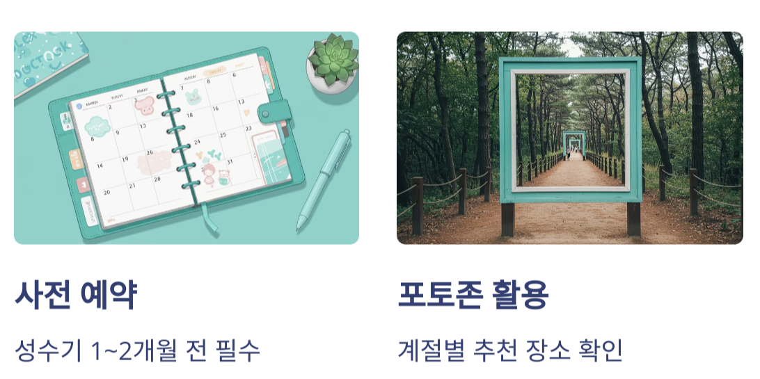 화담숲 여행팁