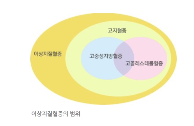 이상지질혈증 고지혈증