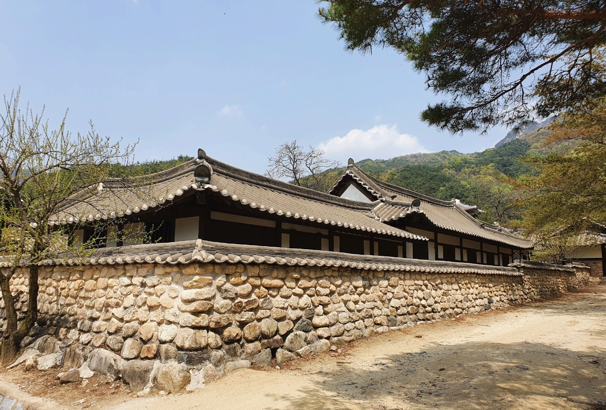 도둑 누명을 쓴 노비의 죽음, 조선의 사법 오류 사례