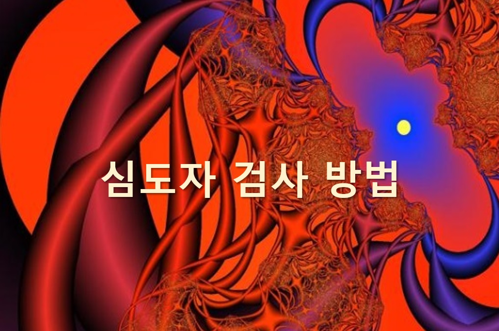  심장질환을 진단하는 심도자 검사 방법
