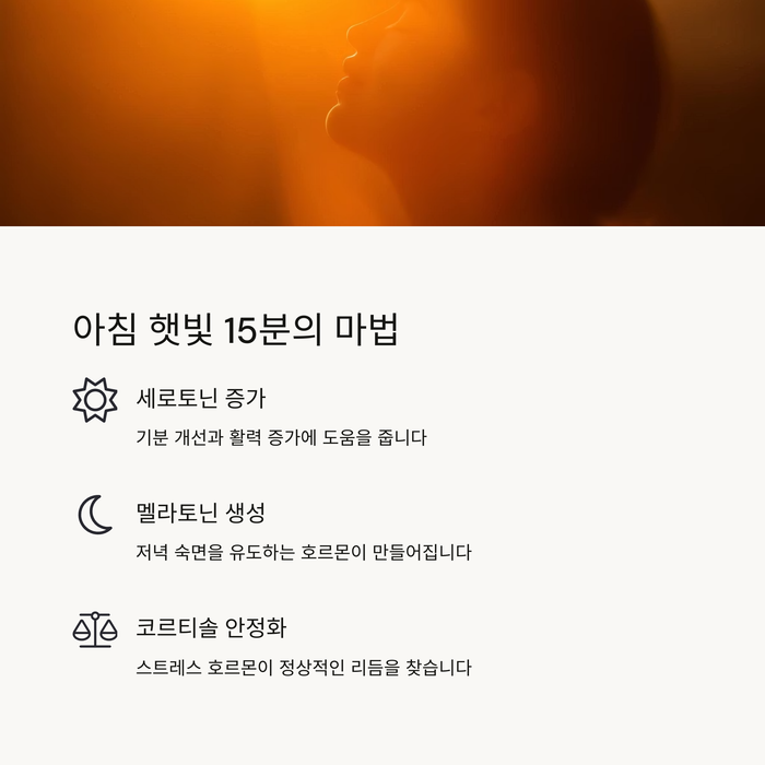 건강 의료