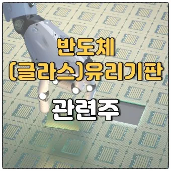 유리기판 대장주 관련주 TOP5_24