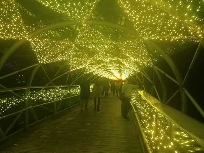 돗토리-하나카이로-야간에-다리에-노란-불빛이-들어온-터널-형태의-모습을-찍은-사진