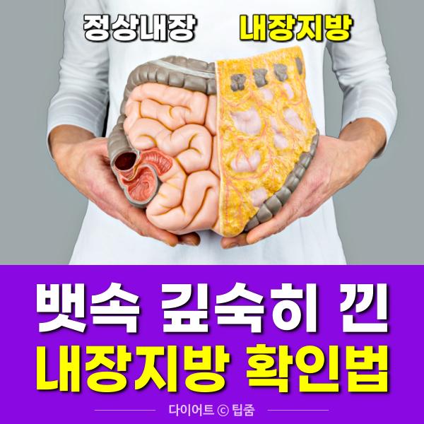 복부 내장지방 확인,뱃살,팁줌