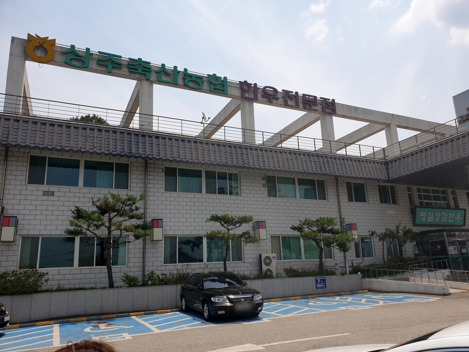 상주 맛집탐방 상주축협 명실상감한우 점심특선 상감한우탕, 육회비빔밥 후기 - 상주 명실상감한우 후기 상주 맛집탐방 상주축협 명실상감한우 점심특선 상감한우탕, 육회비빔밥 후기 - 상주 명실상감한우 후기