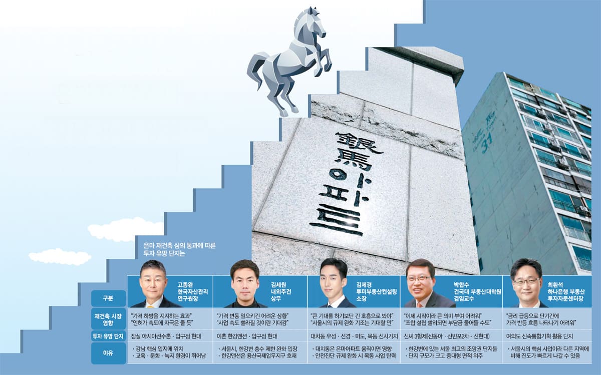  대치 이촌 목동 등...은마에 올라탈 재건축 차기주자들