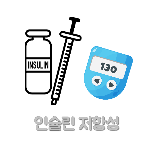 인슐린저항성 다낭성난소증후군 인슐린