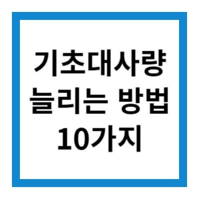 기초대사량 늘리는 방법 10가지