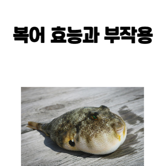 복어 효능과 부작용