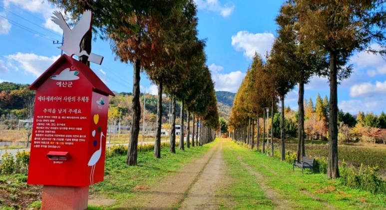 - 수덕사, 명상치유림길과 수암산의 가을 예산으로 볼거리, 단풍여행 5