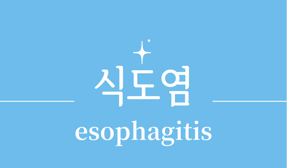 '식도염(esophagitis)'