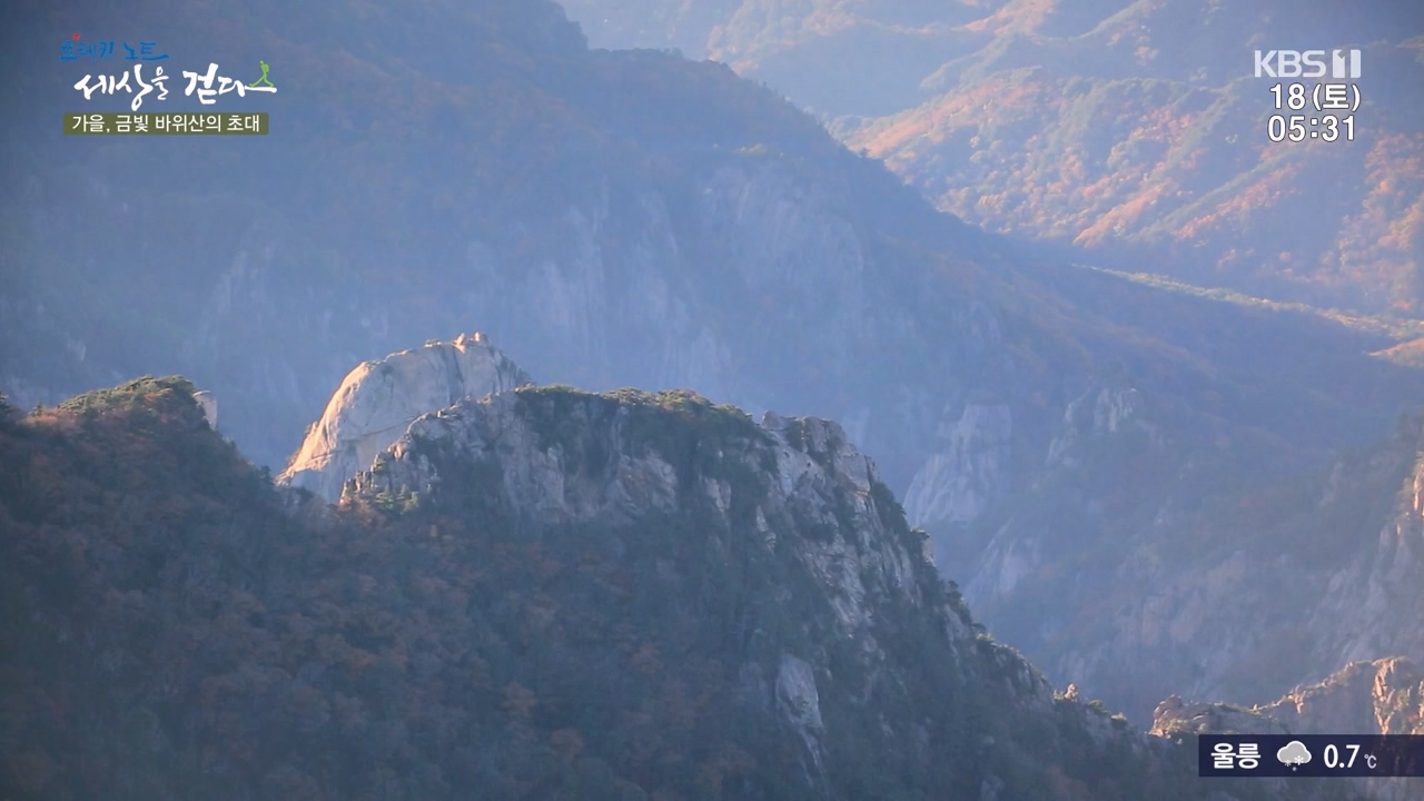 트레킹노트 세상을 걷다.E297.231119p-NEXT.mp4_20231123_212053.619.jpg