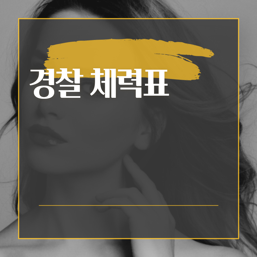  경찰 체력표