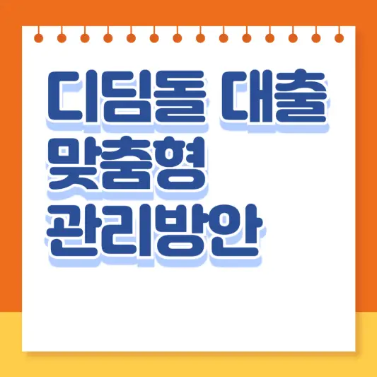 디딤돌 대출 맞춤형 관리 방안