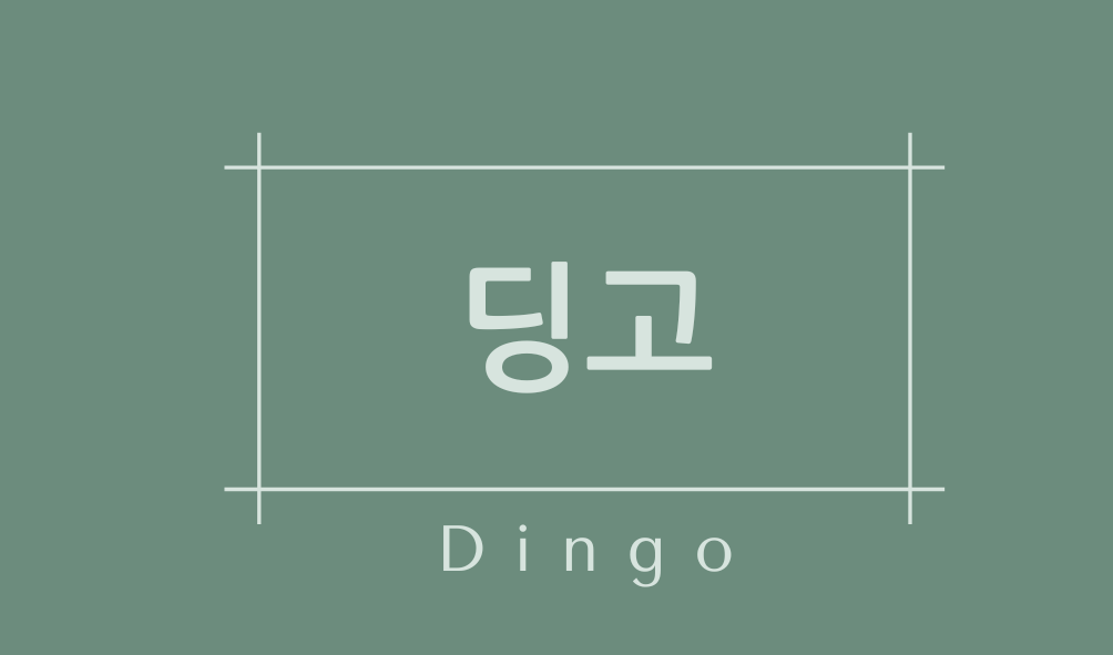 딩고(Dingo)