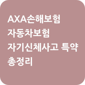AXA손해보험 자동차보험 자기신체사고 특약 총정리