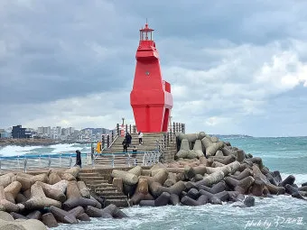 제주시볼거리 6월 제주도 여행 볼거리 제주시 볼거리 한라수목원 완벽 가이드_7