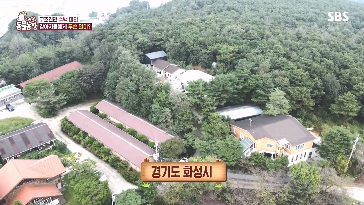 TV 동물농장.E1142.231023p-NEXT.mp4_20231022_171853.748.jpg