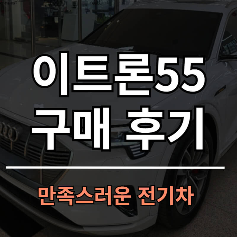 이트론55 스포츠백 후기 리뷰