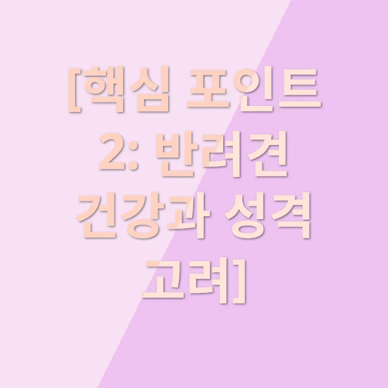 반려견 분양_2