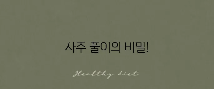 무료 사주풀이 사이트 추천과 사용법을 만나보세요!