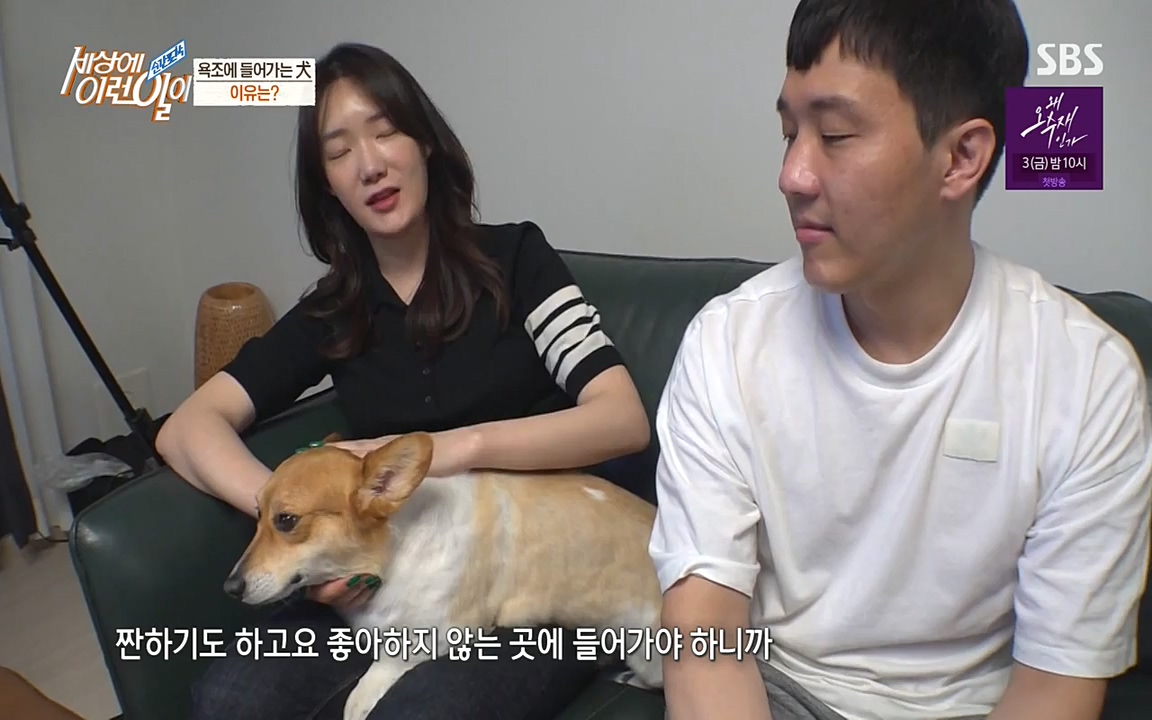 순간포착 세상에 이런일이.E1181.220525p-NEXT.mp4_20220525_202542.087.jpg