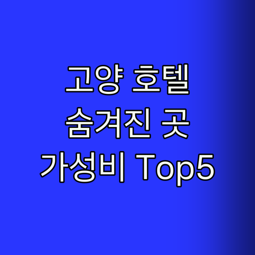 고양 호텔 Top5! 숨겨진 가성비 