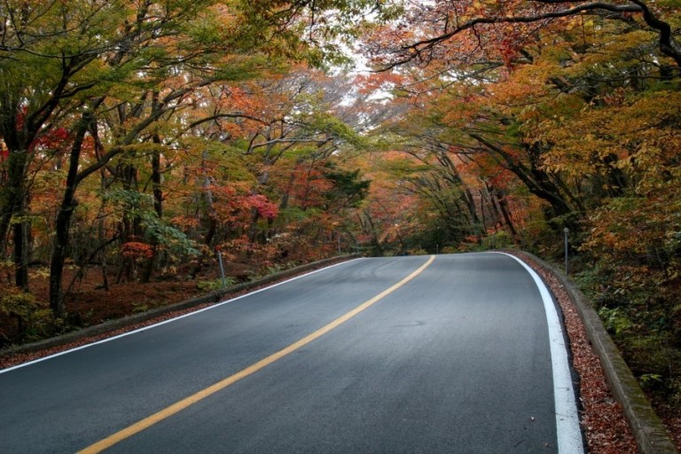  슬기로운 단풍 여행 생활 ~ 나만 알고픈 코스 [경상, 충청, 제주]