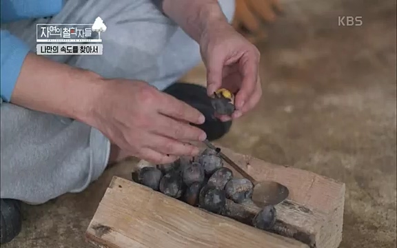 [4회] 자연의 철학자들 - KBS행복하냐고 묻는다면] 흙과 돌, 숲과의 눈맞춤 그리고 물속에서의 숨소리까지 오롯이 김창옥.ts_20220329_191211.509.jpg