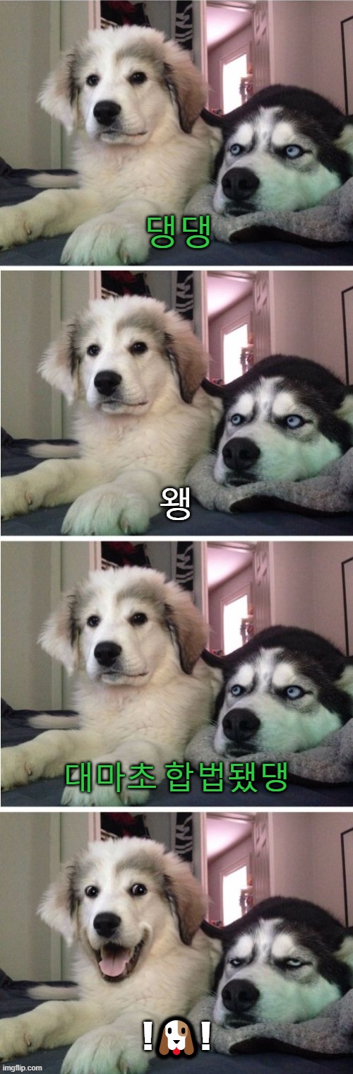  거부할 수 없는 약초, 한국도 대마️키운당️