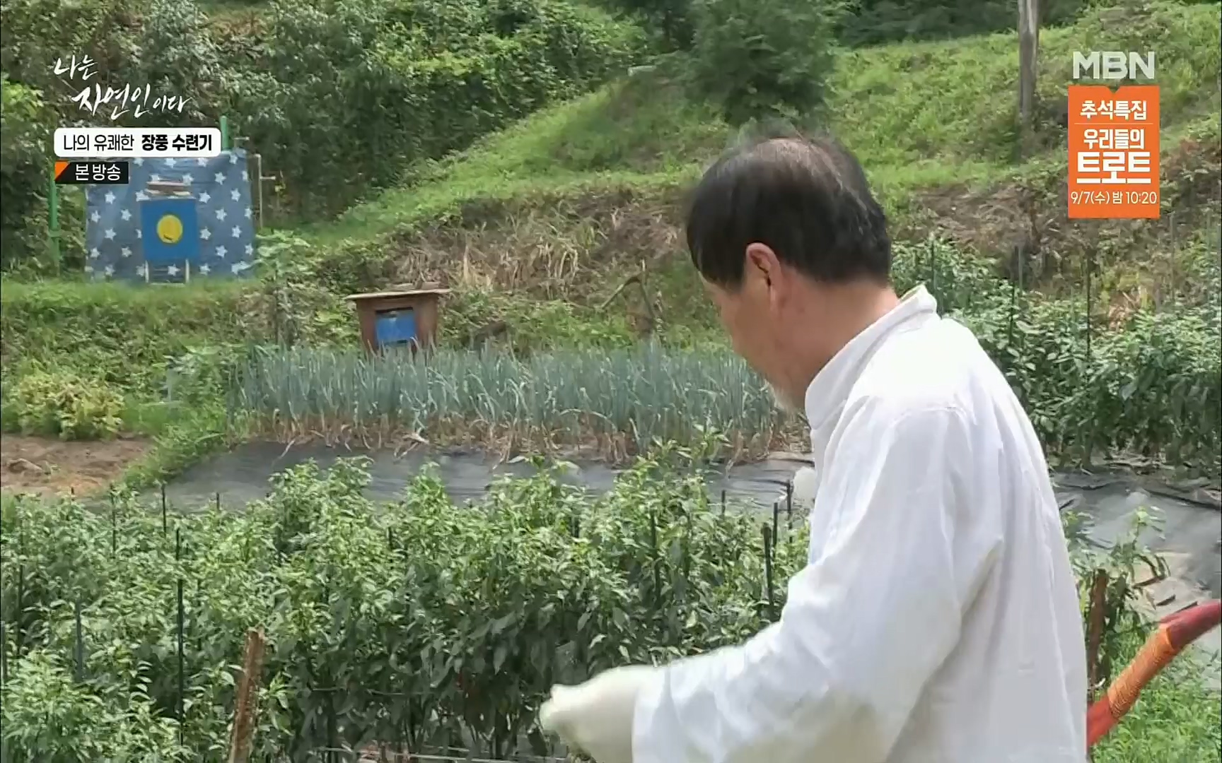 나는 자연인이다.E517.220831p.H264-F1RST.mp4_20220901_201003.869.jpg