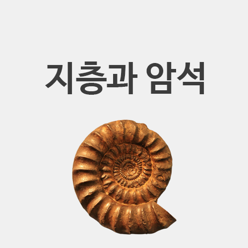  [초3 과학] 지층과 화석