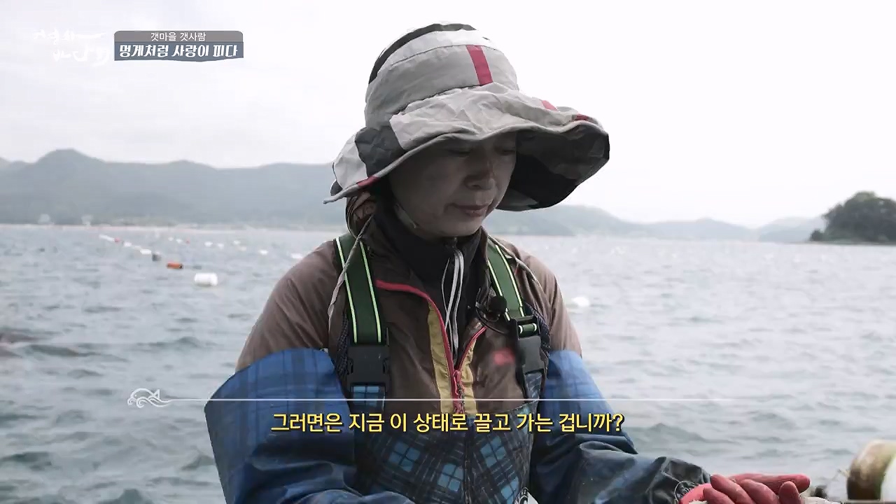 MBC 네트워크 특선 푸른백세 어영차 바다야.E1684.240610p-NEXT.mp4_20240611_203112.566.jpg