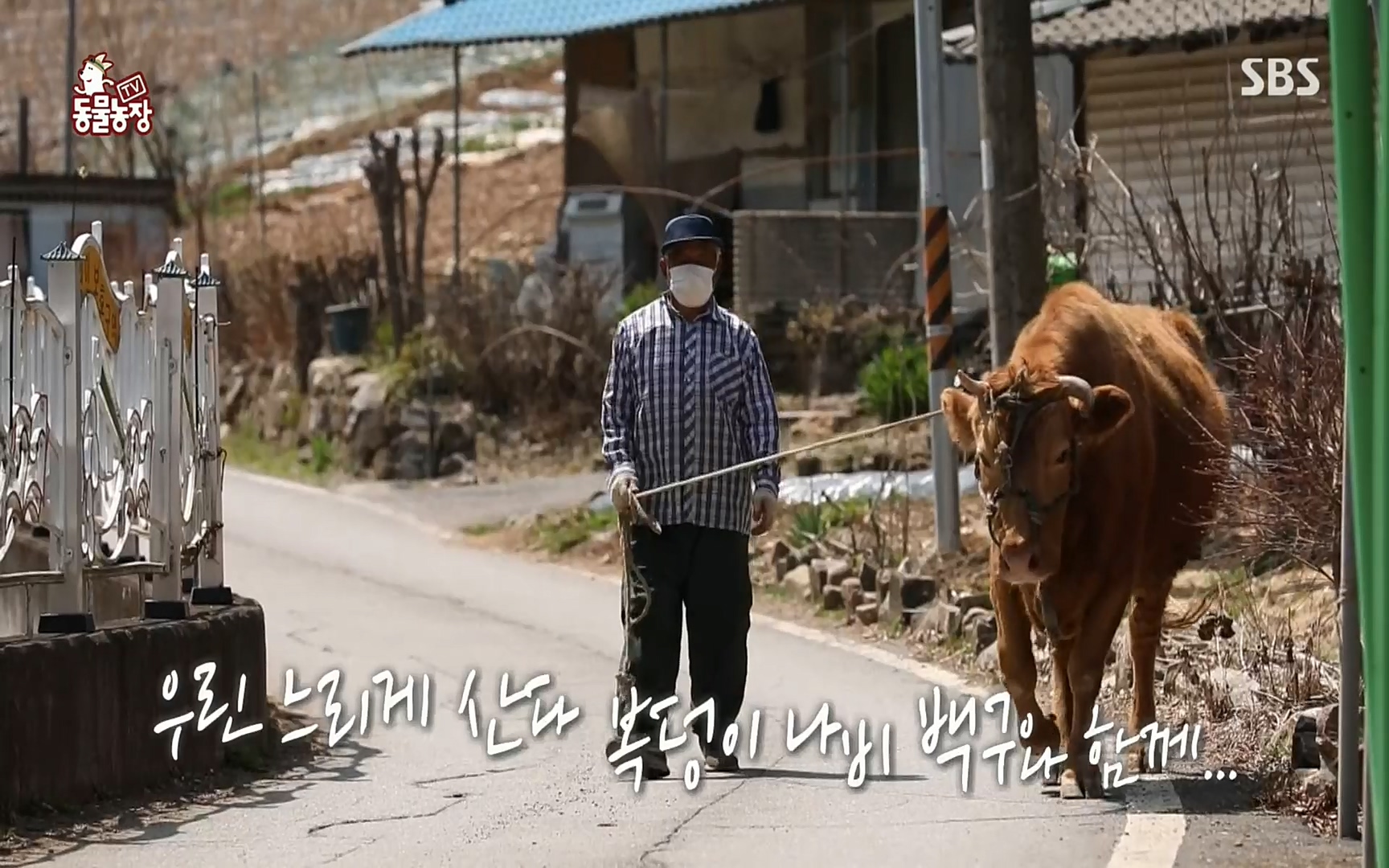 TV 동물농장.E1067.220501p.H264-F1RST.mp4_20220501_184834.996.jpg