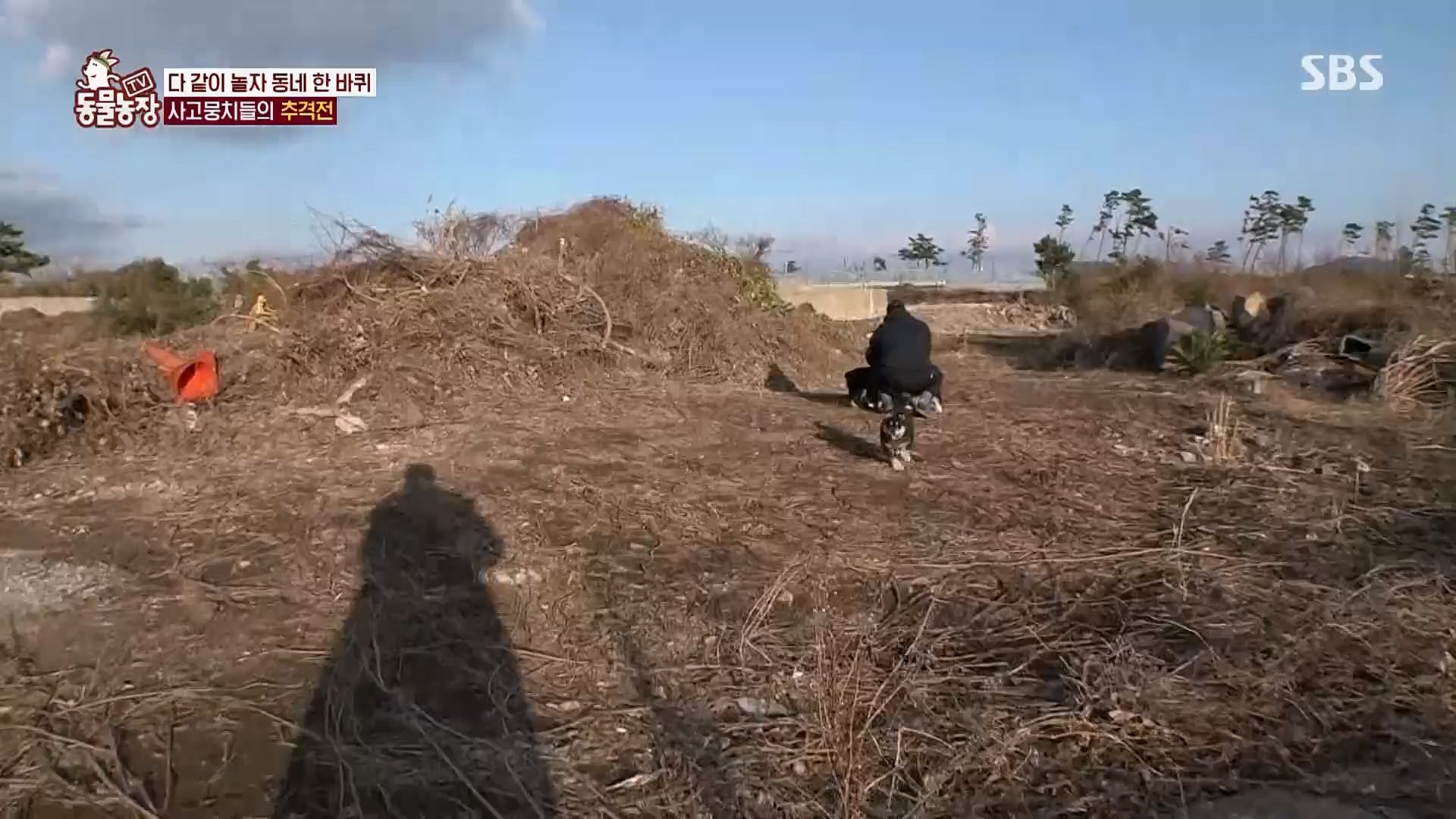 TV 동물농장.E1107.230205p.H264-F1RST.mp4_20230205_174001.261.jpg