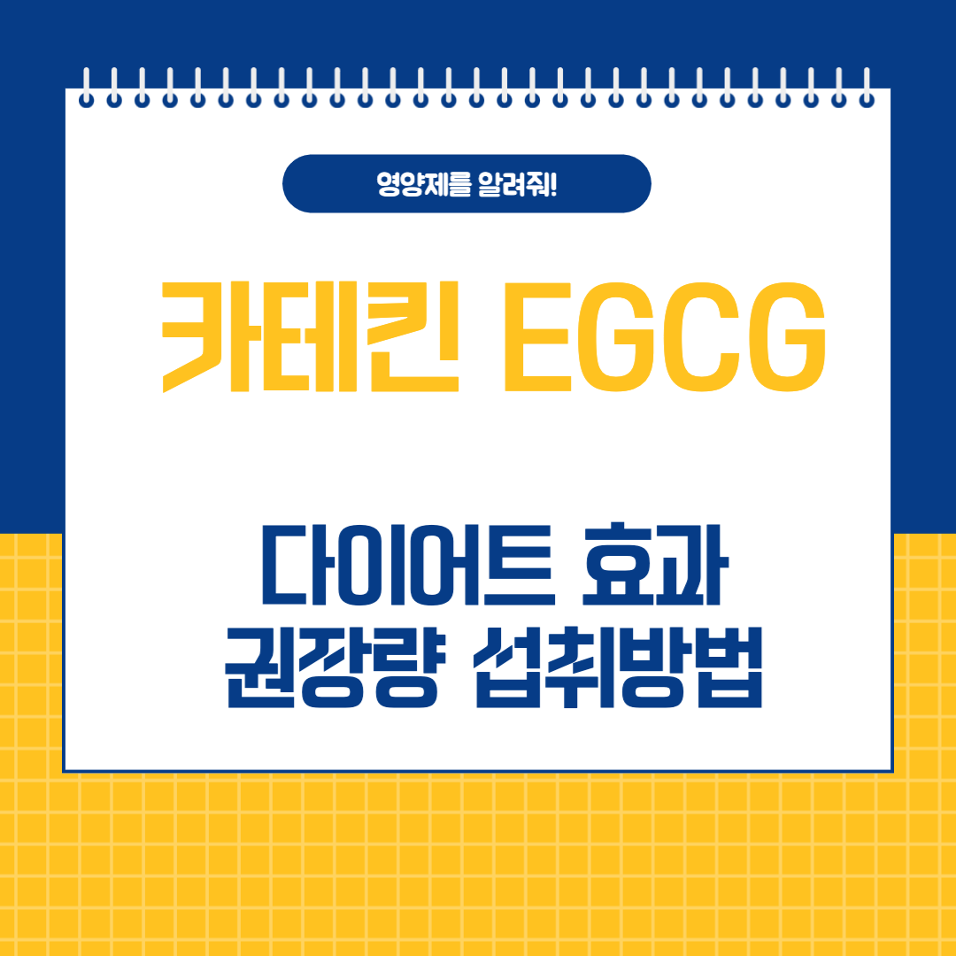 카테킨 EGCG 다이어트 효능 효과 권장량 섭취방법