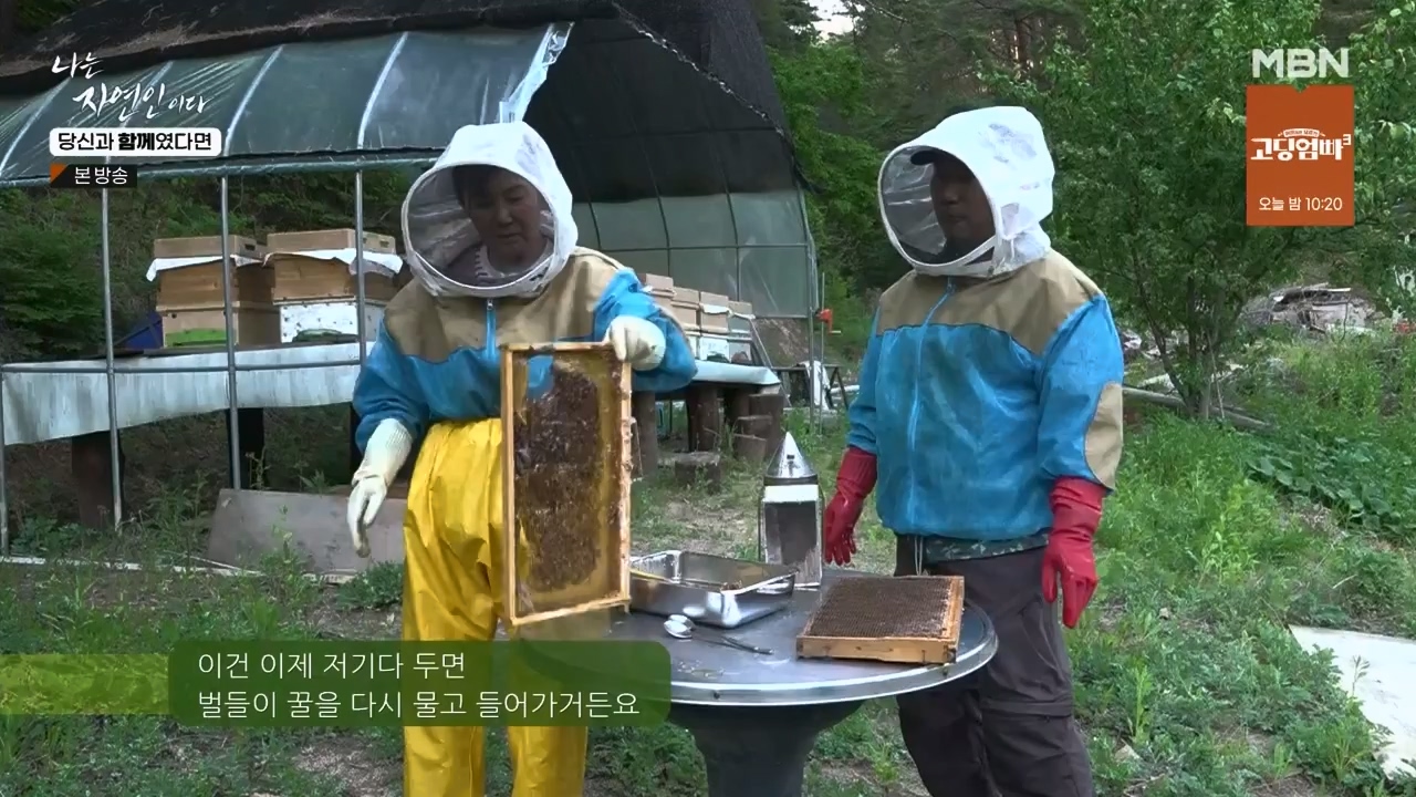 나는 자연인이다.E556.230532p-NEXT.mp4_20230601_201506.552.jpg