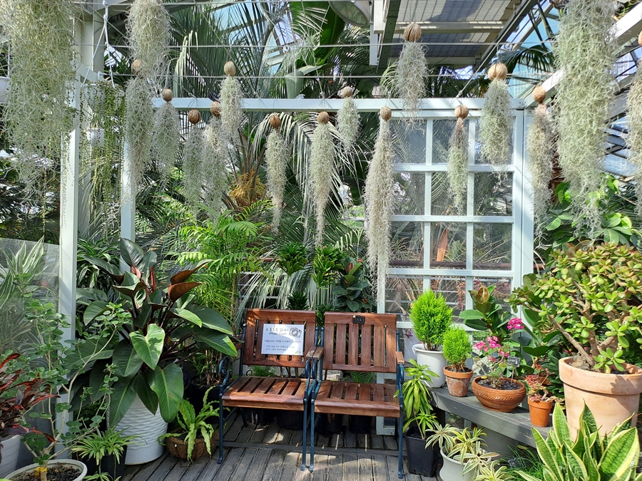 아열대식물원-포토포인트