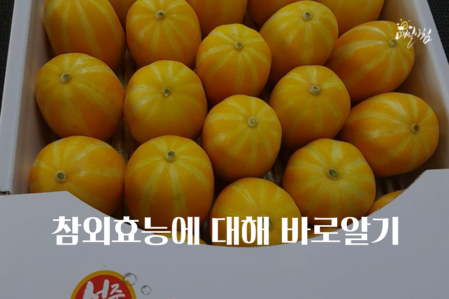  [매일아침좋은글] 참외효능에 대해 바로알기 많이 먹으면 독이다?