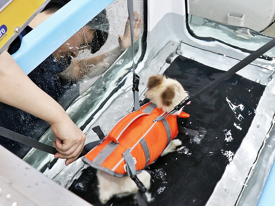 대전 종합동물병원 대전탄방동종합동물병원에서 11
