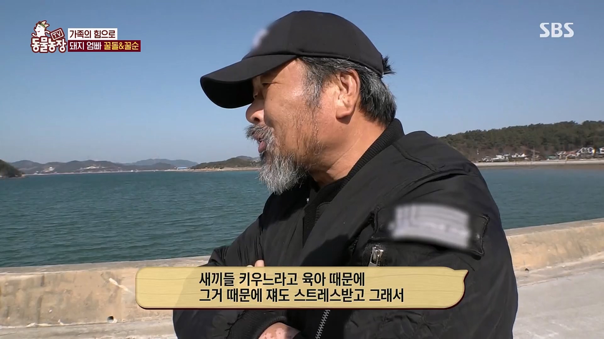TV 동물농장.E1110.230305p.H264-F1RST.mp4_20230305_183156.226.jpg