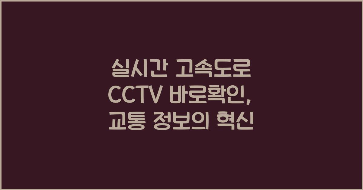 실시간 고속도로 cctv 바로확인