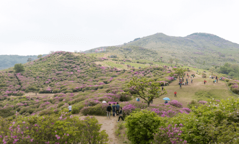 황매산/이미지