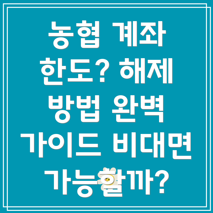 농협 계좌 한도 제한 해제