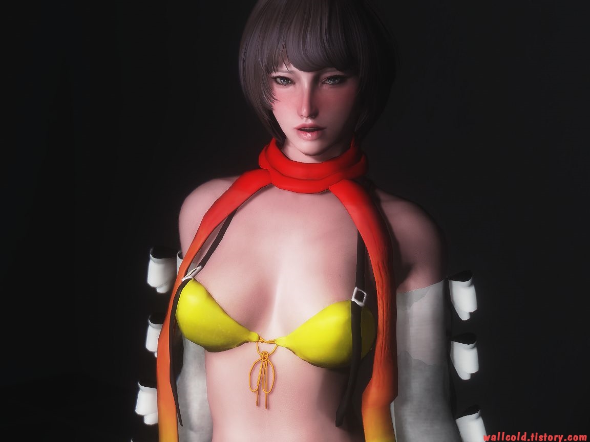 스카이림 의상 - 로그 의상 ffx2 rikku unp clothes skyrim mod 001