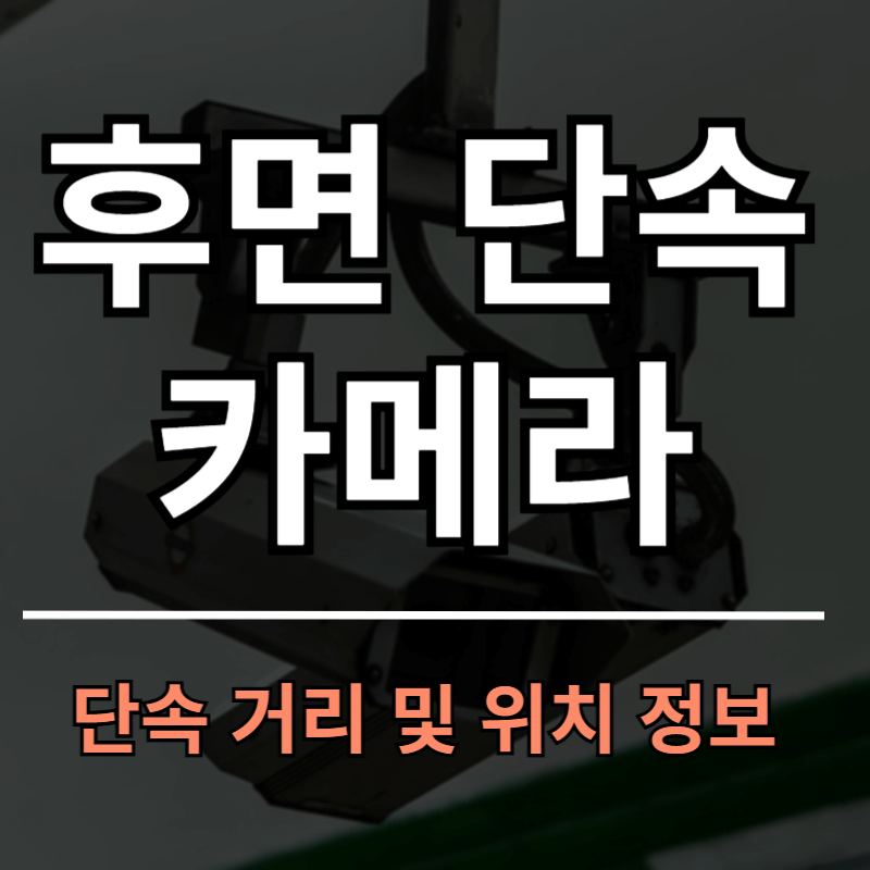 후면단속카메라 거리 얼만큼 가야 찍히나? 위치 정보 안내