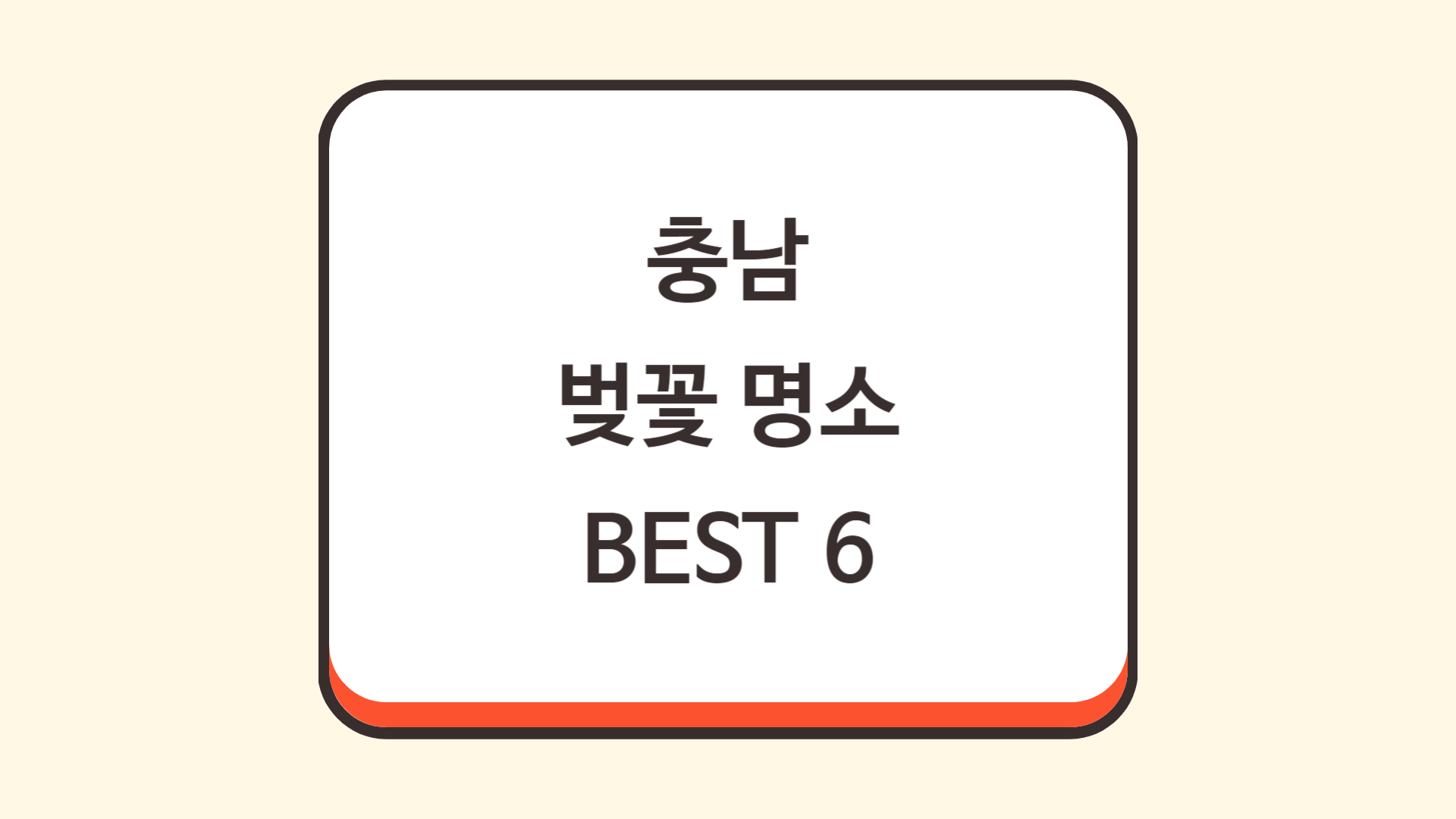 충남 벚꽃 명소 BEST 6
